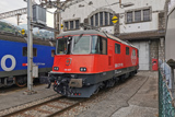 FFS Re 420 207-3 'LION'
